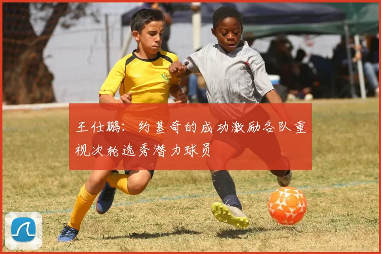 王仕鹏：约基奇的成功激励各队重视次轮选秀潜力球员