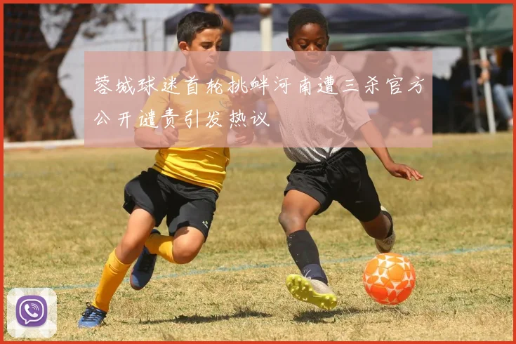 蓉城球迷首轮挑衅河南遭三杀官方公开谴责引发热议
