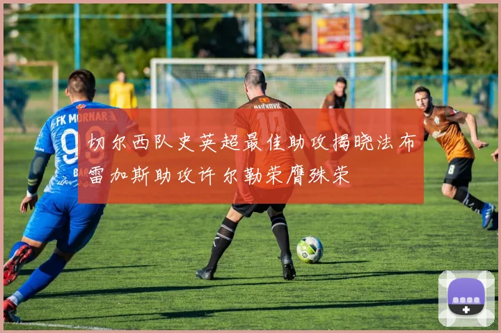 切尔西队史英超最佳助攻揭晓法布雷加斯助攻许尔勒荣膺殊荣
